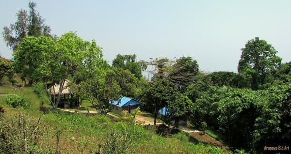 Mount Harriet National Park trek & viewpoint Photo 2
