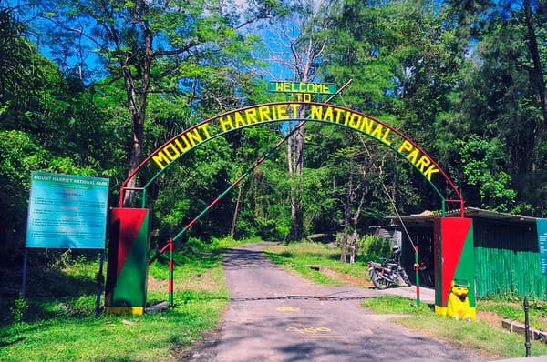 Mount Harriet National Park trek & viewpoint Photo 3