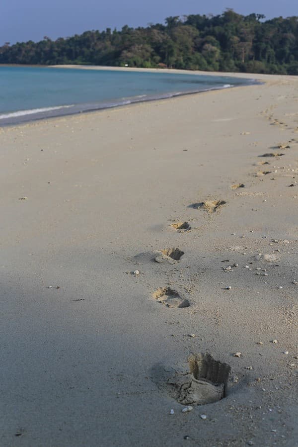 Ross & Smith twin islands sandbar Photo 3