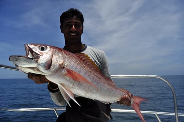 Game fishing and angling Photo 1