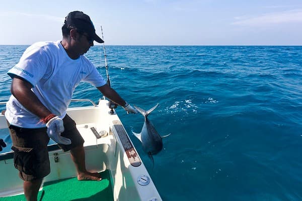 Game fishing and angling Photo 3