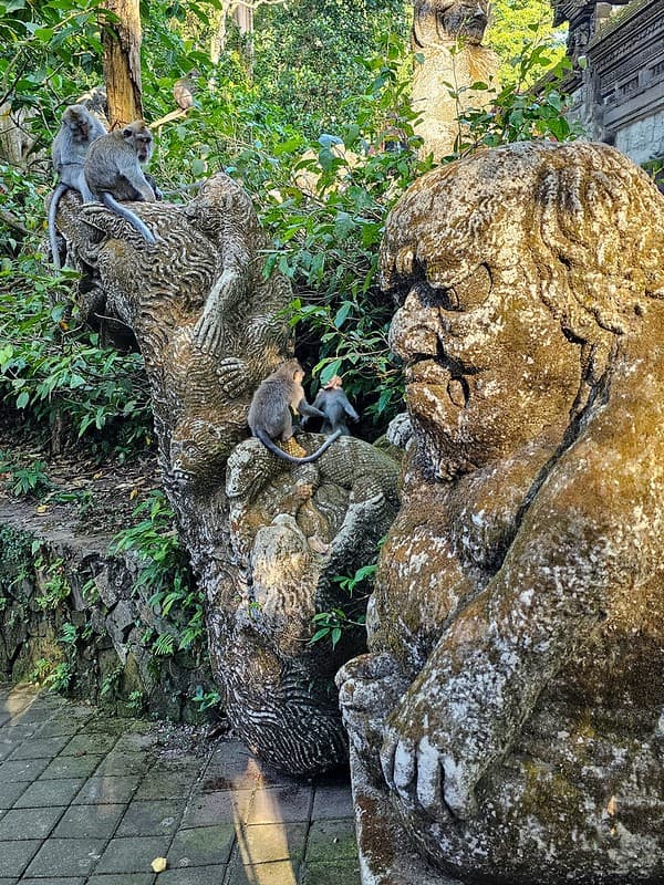 Sacred Monkey Forest Sanctuary Photo 3