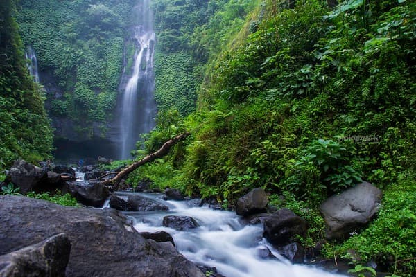 Nungnung Waterfall visit Photo 2