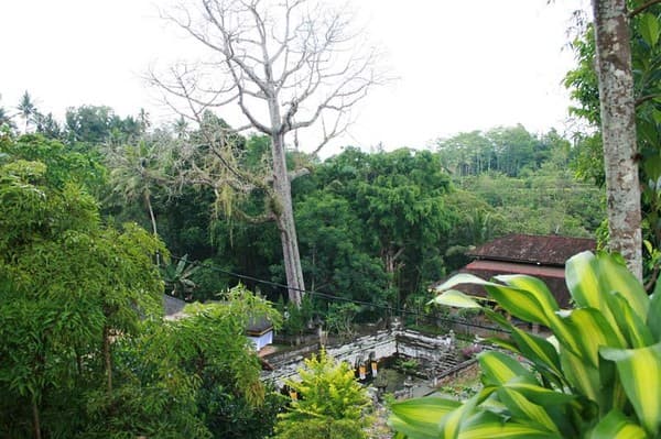 Goa Gajah (Elephant Cave) Photo 2