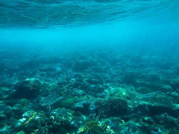 Snorkeling at Crystal Bay