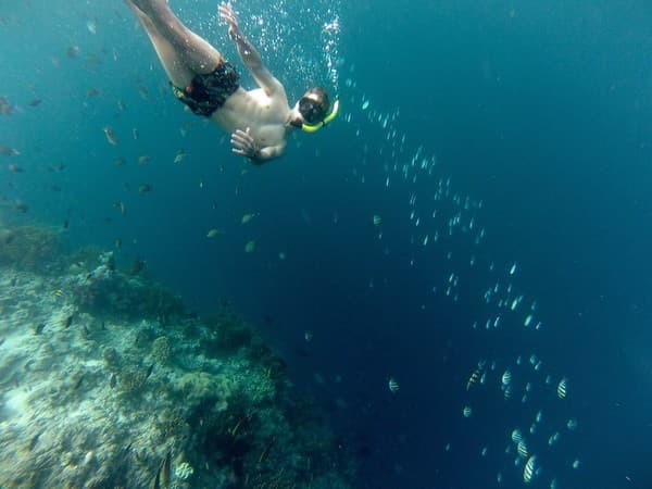 Menjangan Island snorkeling/diving Photo 3