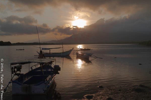 Birdwatching in West Bali National Park Photo 1