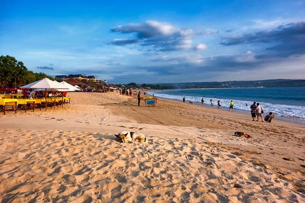 Seafood dinner on the sand Photo 3