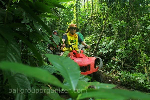 ATV jungle/river ride Photo 3