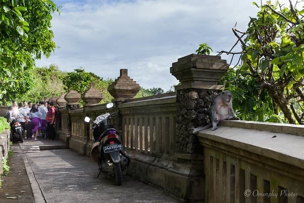 Bali 2017-2018-1042.jpg