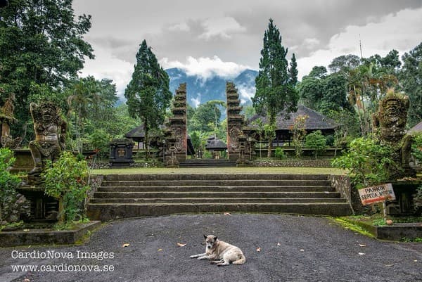 Pura Luhur Batukaru in Bali