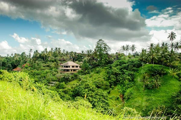 Bali Campuhan Ridge walk