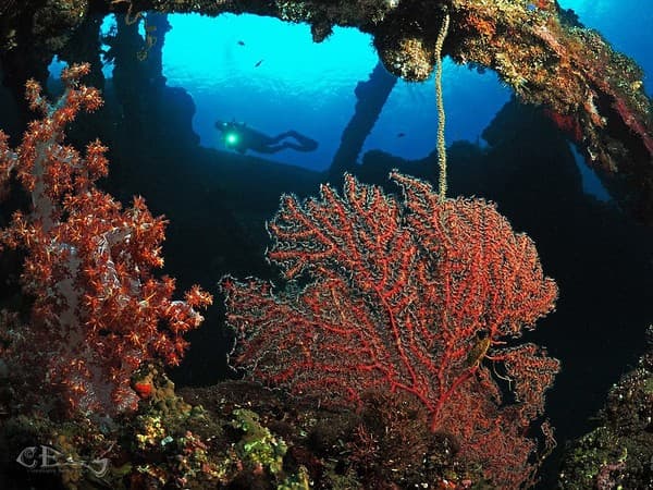 Tulamben (USAT Liberty Wreck)