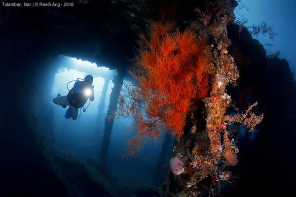 C A R G O - R O O M [Explored]