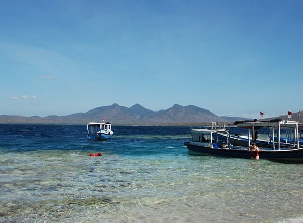 Menjangan Island