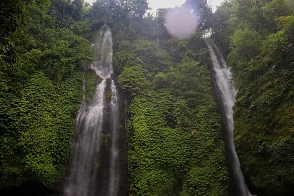 Two waterfalls cascade down lush green cliffs.