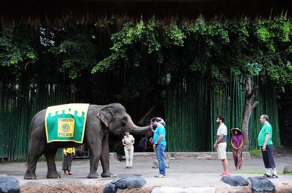 BALI SAFARI&MARINE PARK