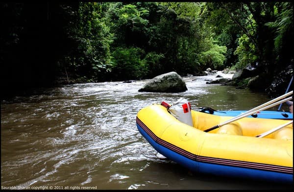 Thrill Raft - Ayung River