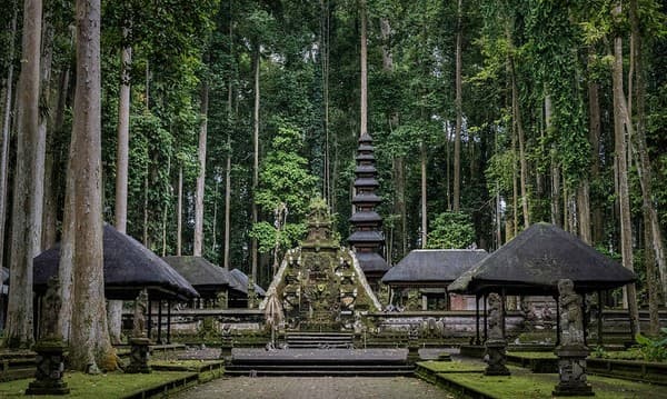 Sangeh Monkey Forest, Bali
