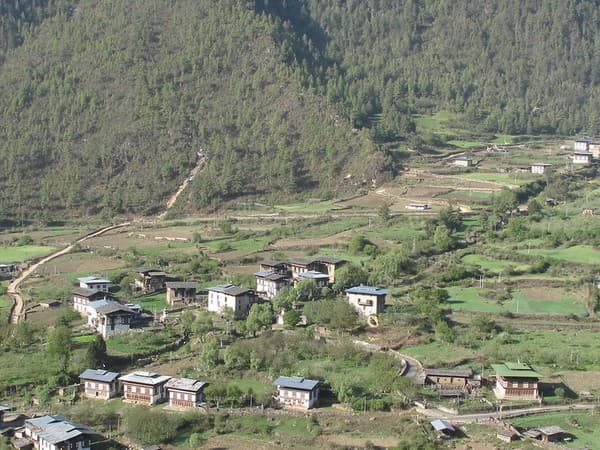 Haa Valley village walks and homestay Photo 3
