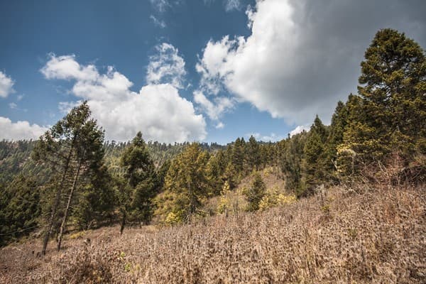 Ura Valley scenic drive and nature walks Photo 3