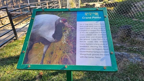 2023Dec18- Black-necked Crane Visitor Centre