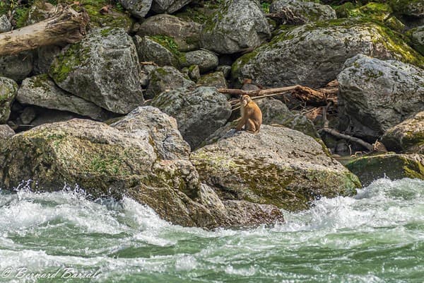 Peur de la baignade?