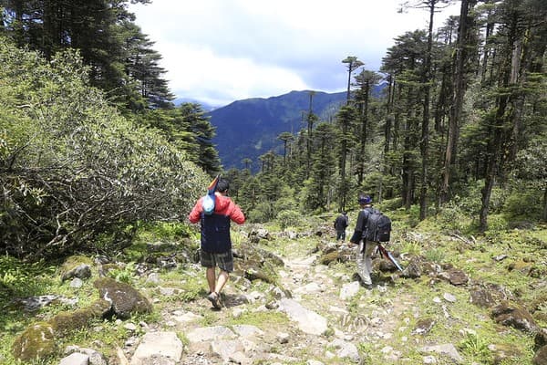 Sakteng Wildlife Santuary