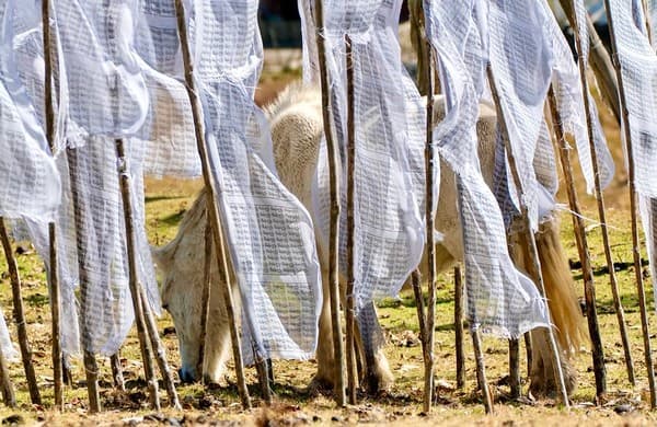 Sakteng Wildlife Sanctuary