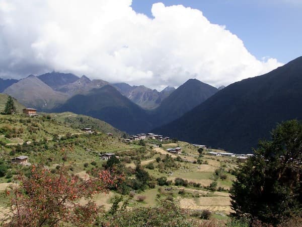 Houses and fields of Laya village