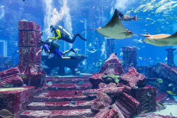 The Lost Chambers Aquarium