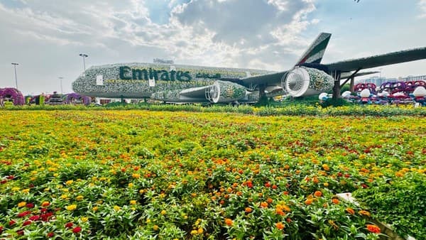A stunning floral Emirates airplane display at Dubai Miracle Garden, showcasing vibrant colors and artistic design.