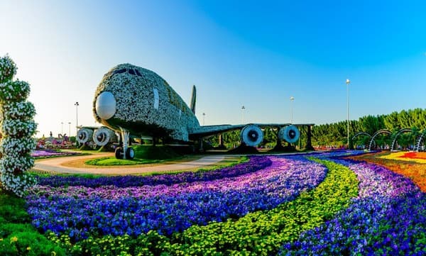 Vibrant floral Airbus A380 installation at Dubai Miracle Garden, surrounded by colorful flowers and lush landscape.