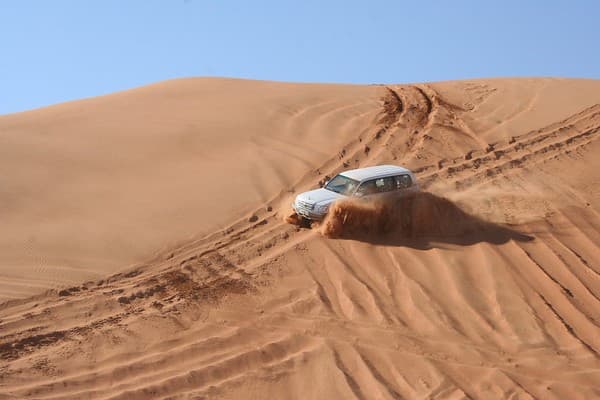 Desert Safari & Dune Bashing Photo 2