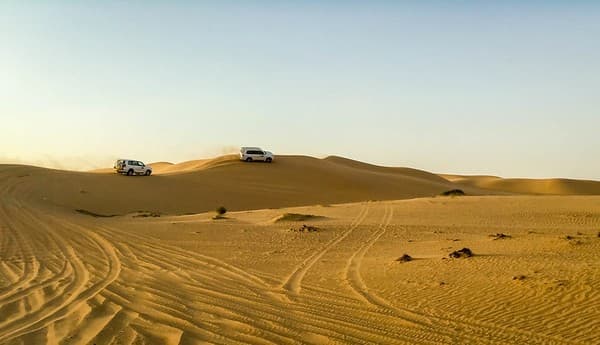 Desert Safari & Dune Bashing Photo 1