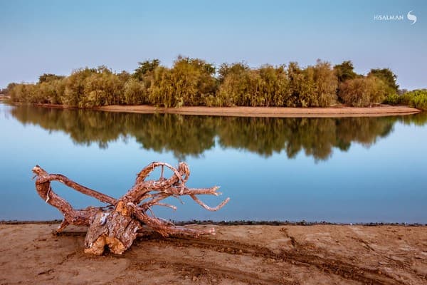 Al Qudra Lakes & Cycling Track Photo 1
