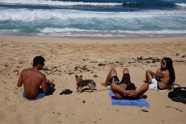 Relax on Baga Beach Photo 1