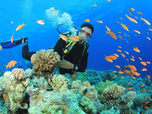 Scuba diving at Grande Island Photo 2