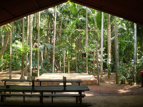 Spice plantation tour in Ponda Photo 3