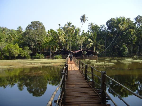 Spice plantation tour in Ponda Photo 2