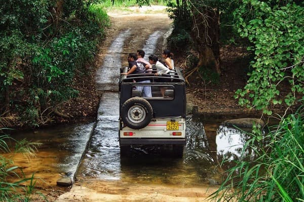Dudhsagar Falls jeep safari and trek Photo 1