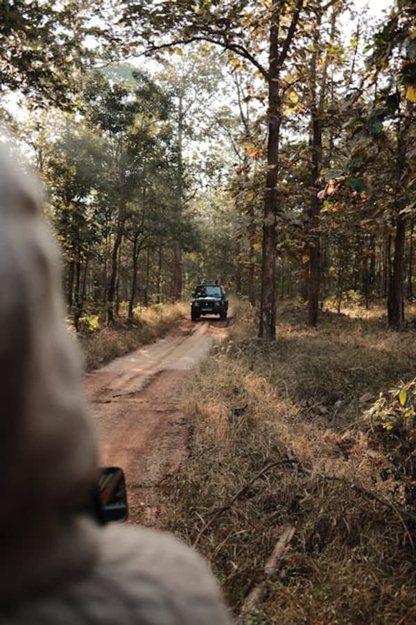 Dudhsagar Falls jeep safari and trek Photo 3