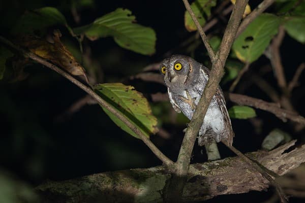 Bhagwan Mahavir Wildlife Sanctuary nature drive Photo 3