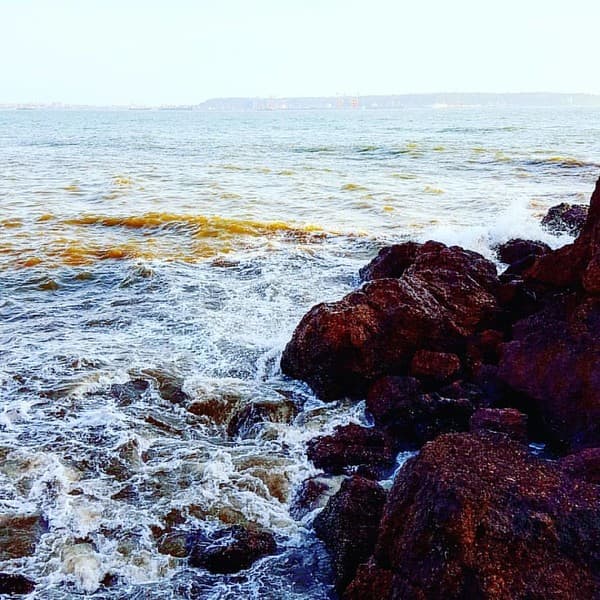 Dona Paula viewpoint Photo 1