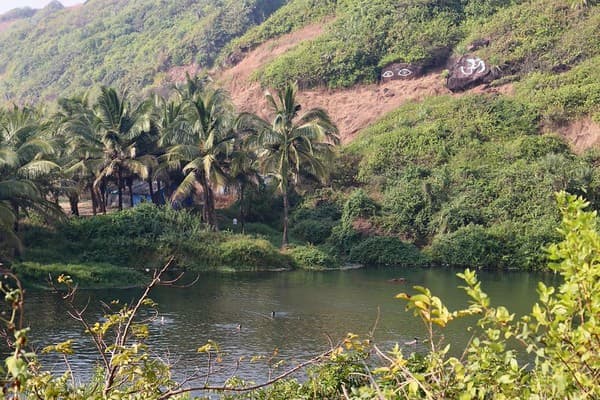 Arambol Sweet Water Lake and beach hike Photo 1