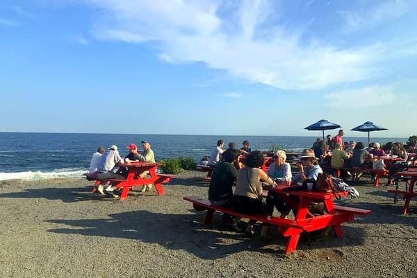 Seafood beach shack hopping Photo 1