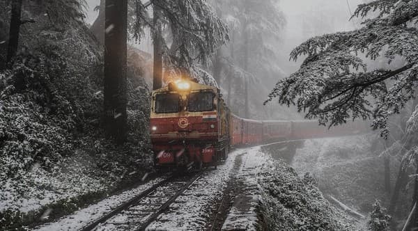 Ride the Kalka–Shimla Toy Train (UNESCO Heritage) Photo 3