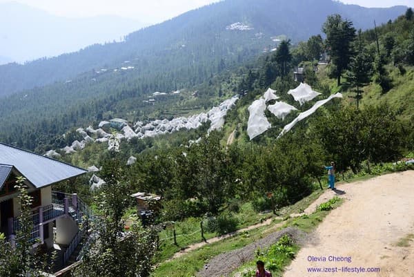 Hike to Hatu Peak Photo 2