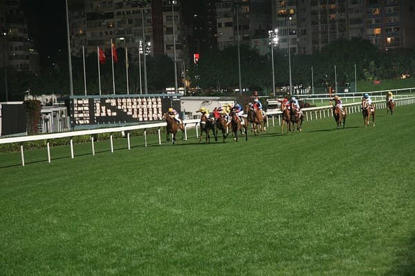 Happy Valley Racecourse night races Photo 2