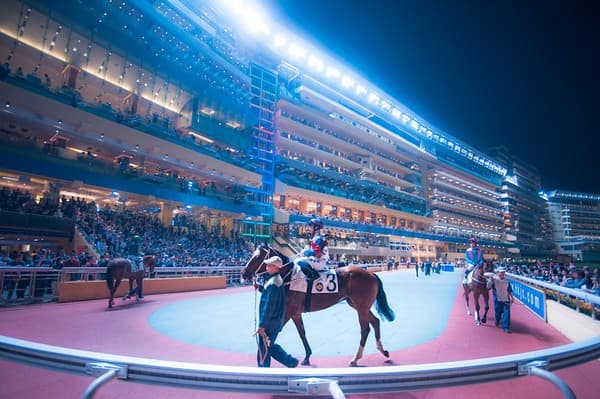 Happy Valley Racecourse night races Photo 3